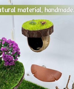 Jumping Spider Hideout - Magnetic Hiding Habitat, Climbing Platform, Handmade Fence Accessory From Natural Materials, Suitable for Small Insects