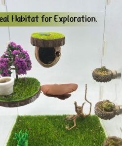 Jumping Spider Hideout - Magnetic Hiding Habitat, Climbing Platform, Handmade Fence Accessory From Natural Materials, Suitable for Small Insects
