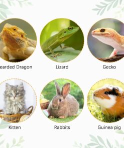 kathson Bearded Dragon Carrier with Harness and Leash Set, Large Reptile Travel Carrier Portable Lizard Backpack Clear Small Animals Carrying Bag for Gecko Hamster Rabbit...