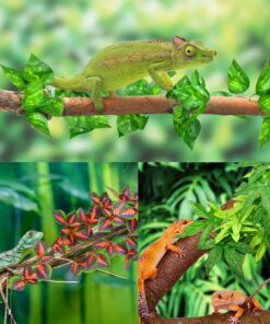KATUMO Reptile Plants, 3 PCS Amphibian Hanging Plants with Suction Cup for Snake, Bearded Dragons, Lizards, Geckos, Toads, Hermit Crab Tank Pets Habitat Decorations