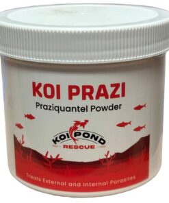 KOI PRAZI Fluke Destoyer (100 gram) for Pond & Aquarium Fish