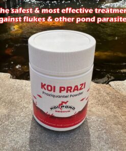 KOI PRAZI Fluke Destoyer (100 gram) for Pond & Aquarium Fish