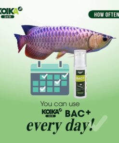 KOIKA BAC+ Aquarium Probiotics, Pleasant Smell, Disease Resistance, Immunity Boosting (BAC+ (New Formula), 105ml)