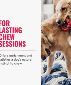 KONG Ring - Natural Rubber Ring Toy for Healthy Chewing Habits - Chew Toy Supports Dog Dental Health - Dog Toy Supports Instincts During Playtime - for Small/Medium Dogs