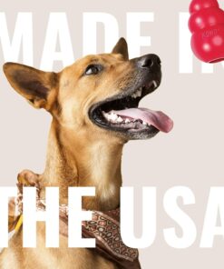 KONG Ring - Natural Rubber Ring Toy for Healthy Chewing Habits - Chew Toy Supports Dog Dental Health - Dog Toy Supports Instincts During Playtime - for Small/Medium Dogs