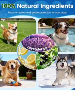 KOOSA Flea and Tick Collar for Dogs, 4 Packs Flea Collar for Dogs with Natural Essential Oils, Waterproof & Adjustable Flea and Tick Prevention Collar for Small Medium Large...