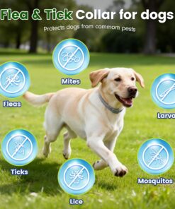 KOOSA Flea and Tick Collar for Dogs, 4 Packs Flea Collar for Dogs with Natural Essential Oils, Waterproof & Adjustable Flea and Tick Prevention Collar for Small Medium Large...