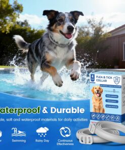 KOOSA Flea and Tick Collar for Dogs, 4 Packs Flea Collar for Dogs with Natural Essential Oils, Waterproof & Adjustable Flea and Tick Prevention Collar for Small Medium Large...