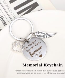LESEN Loss of Dog Cat Pet Sympathy Gift,Dog Memorial Gifts for Loss of Dog,Dog Passing Away Bereavement Remembrance Gift Basket for Friends Family