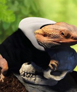 Lizard Clothes for Bearded Dragons Reptile Apparel Handmade Cotton Material Hoodies Gift for Lizard Small Animal Gecko Chameleon(Black and white)
