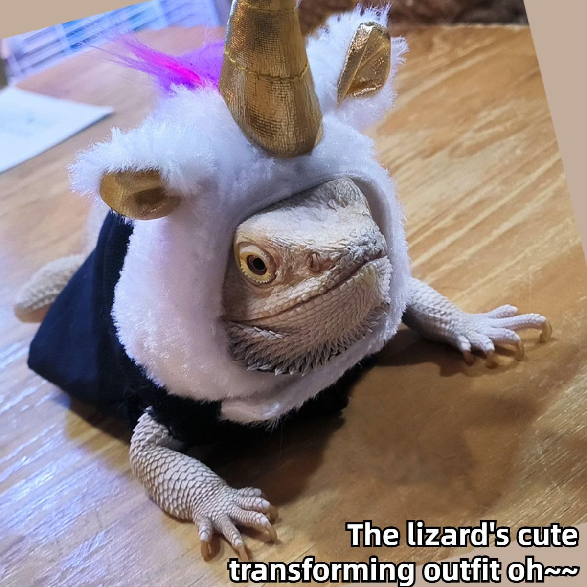 Lizard Hat for Bearded Dragon - Soft Fuzzy Plush Cap with Adjustable Chin Strap & Crown Decor Reptile Headwear Halloween Costume Outfit Photo Props for Gecko Chameleon