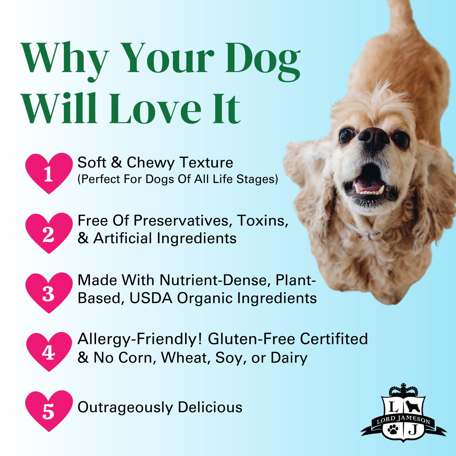Lord Jameson Blue Bliss 6 oz: Organic Soft & Chewy Dog Treats | Natural Puppy & Senior Treats | Easy Chew Hypoallergenic Dog Snacks | Gourmet Healthy Training Treats for Small &...