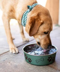 Loving Pets Bella Dog Bowls- Stainless Steel Dog & Cat Bowls - Spill Proof Dog Food Bowl, Cat Bowl, Puppy Essentials & Pet Supplies Great for Home & Travel (Medium 20-35 lbs,...