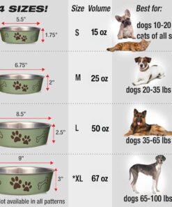 Loving Pets Bella Dog Bowls- Stainless Steel Dog & Cat Bowls - Spill Proof Dog Food Bowl, Cat Bowl, Puppy Essentials & Pet Supplies Great for Home & Travel (Medium 20-35 lbs,...