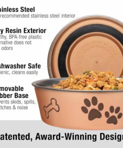 Loving Pets Bella Dog Bowls- Stainless Steel Dog & Cat Bowls - Spill Proof Dog Food Bowl, Cat Bowl, Puppy Essentials & Pet Supplies Great for Home & Travel (Medium 20-35 lbs,...