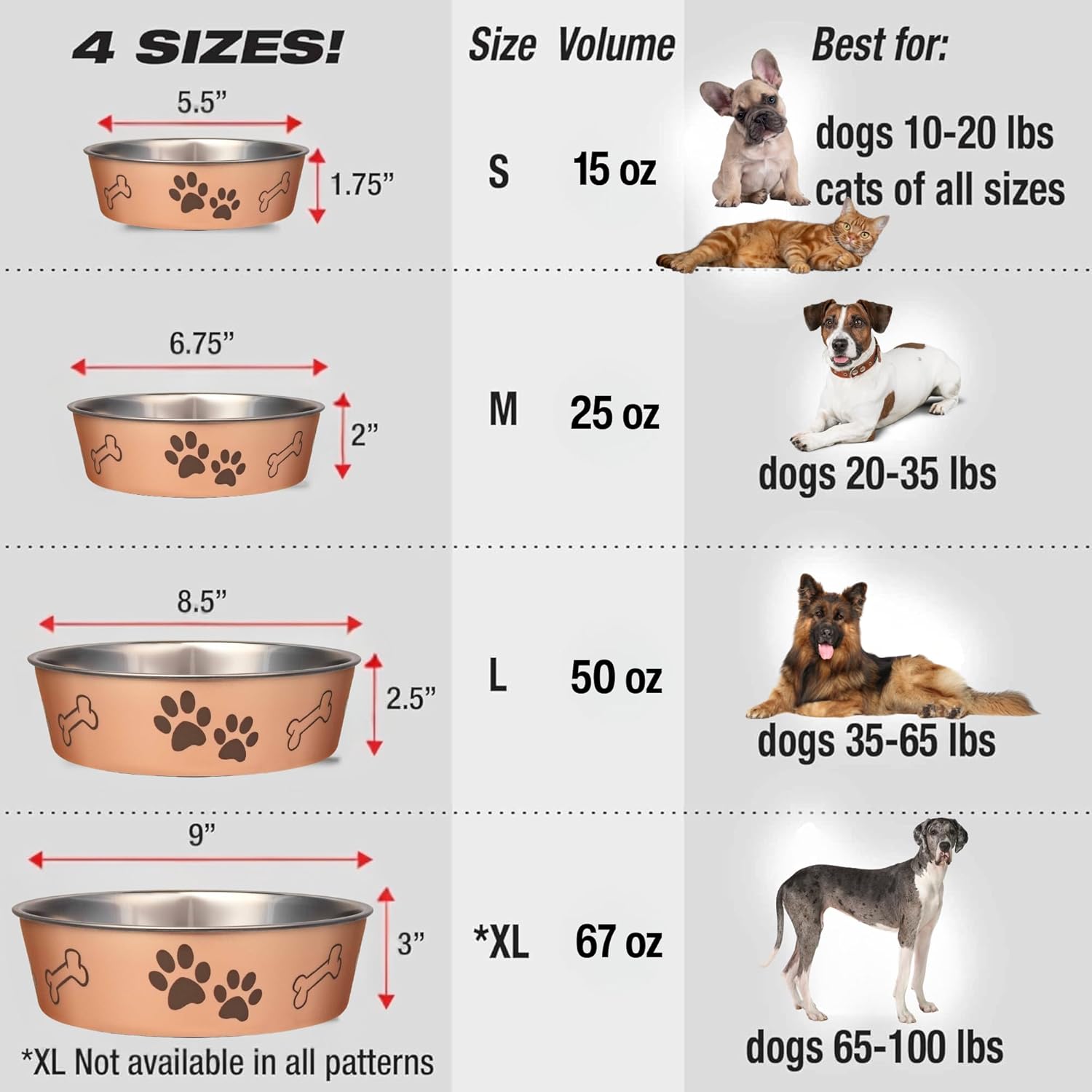 Loving Pets Bella Dog Bowls- Stainless Steel Dog & Cat Bowls - Spill Proof Dog Food Bowl, Cat Bowl, Puppy Essentials & Pet Supplies Great for Home & Travel (Medium 20-35 lbs,...