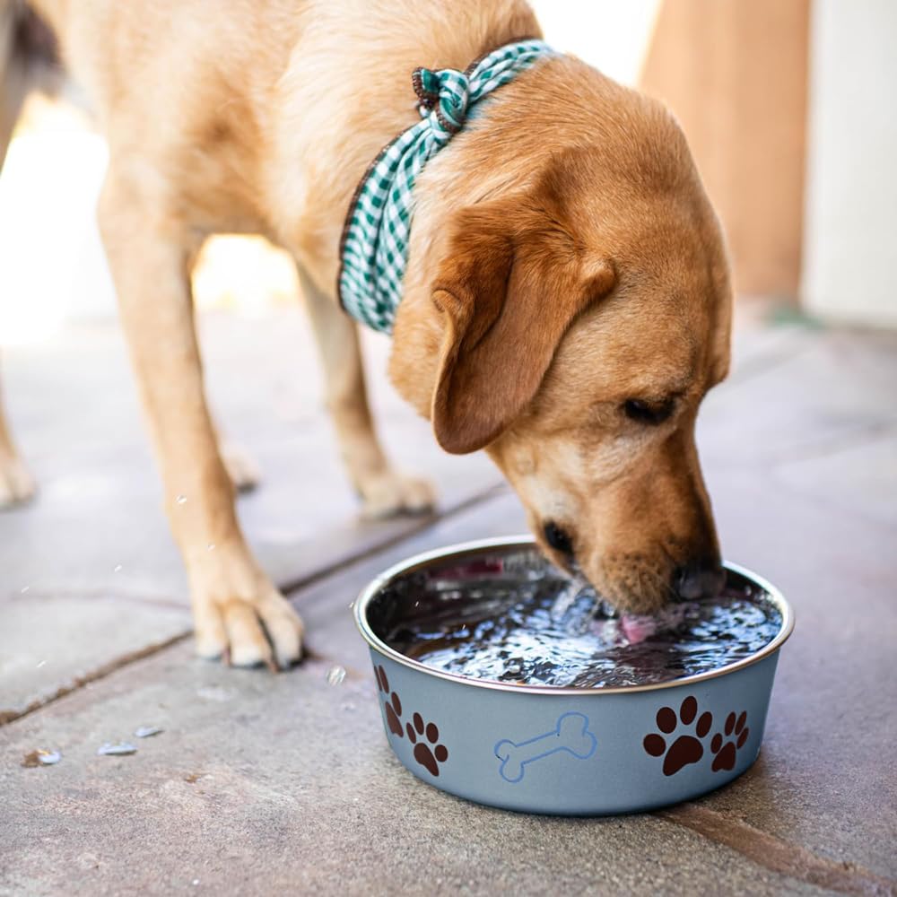 Loving Pets Bella Dog Bowls- Stainless Steel Dog & Cat Bowls - Spill Proof Dog Food Bowl, Cat Bowl, Puppy Essentials & Pet Supplies Great for Home & Travel (Medium 20-35 lbs,...