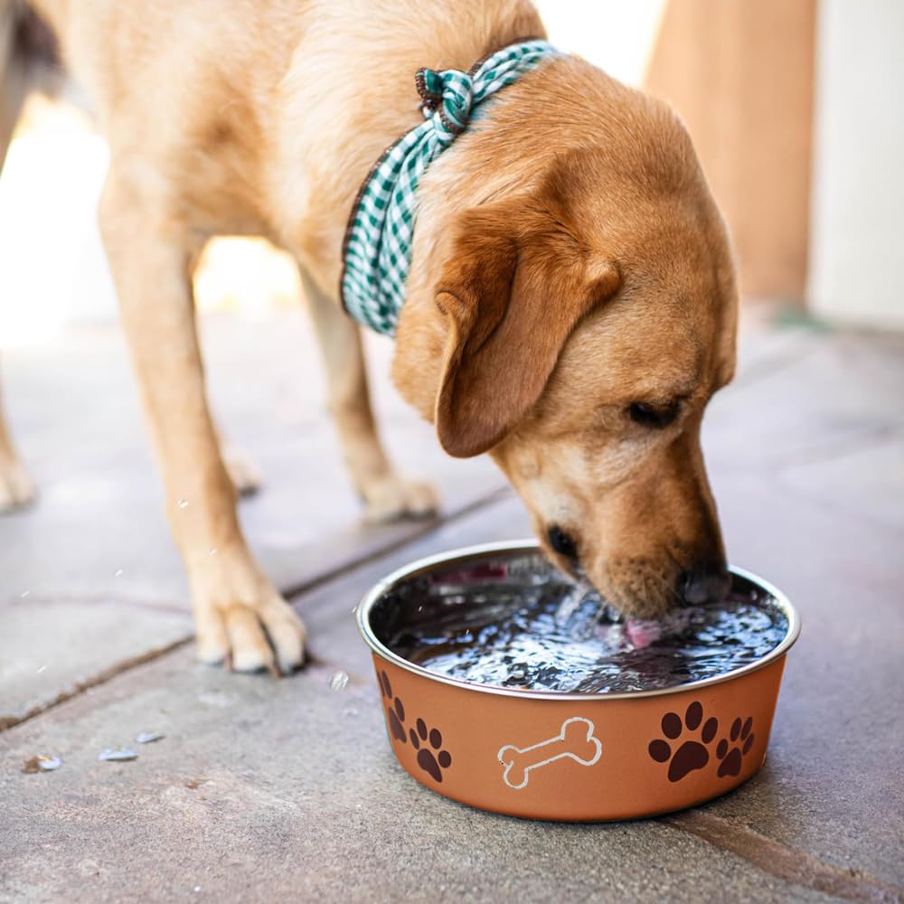 Loving Pets Bella Dog Bowls- Stainless Steel Dog & Cat Bowls - Spill Proof Dog Food Bowl, Cat Bowl, Puppy Essentials & Pet Supplies Great for Home & Travel (Medium 20-35 lbs,...