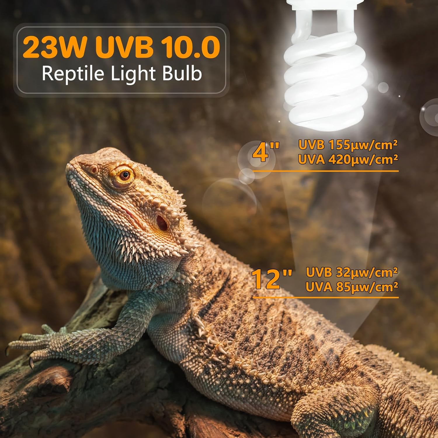 LUCKY HERP UVA UVB Reptile Light 10.0, Desert UVB 150 Compact Fluorescent Lamp, UVB Light for Reptiles 23W, UVA UVB Reptile Light Bulb, UVB Bulb for Reptiles Bearded Dragons...