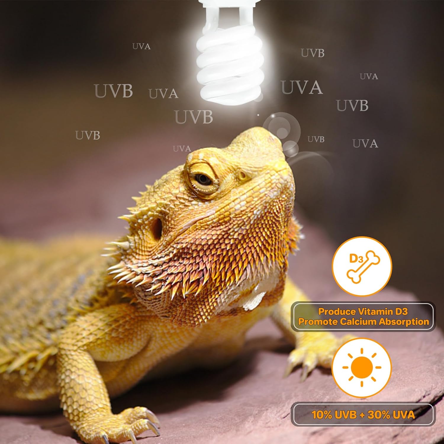 LUCKY HERP UVA UVB Reptile Light 10.0, Desert UVB 150 Compact Fluorescent Lamp, UVB Light for Reptiles 23W, UVA UVB Reptile Light Bulb, UVB Bulb for Reptiles Bearded Dragons...