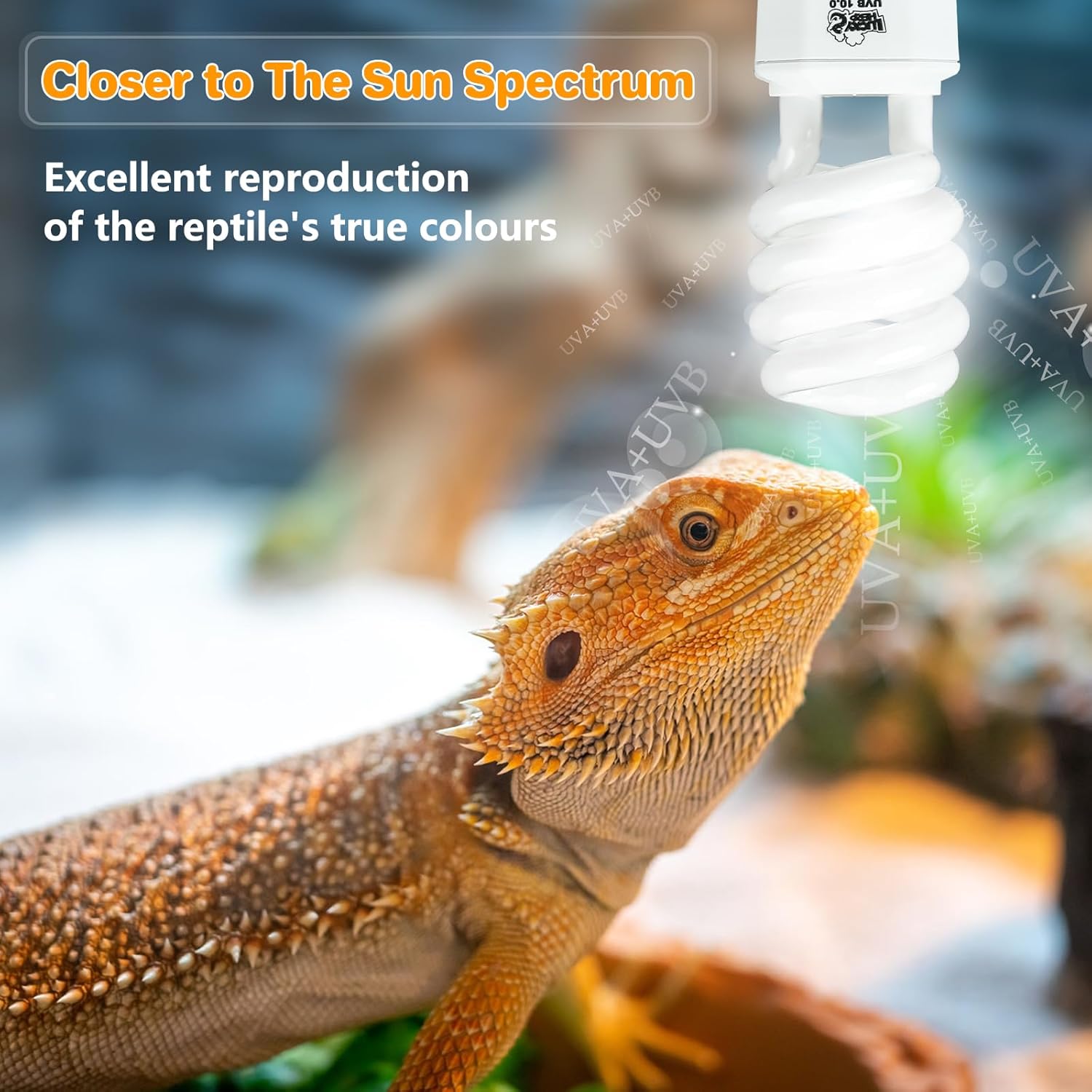 LUCKY HERP UVA UVB Reptile Light 10.0, Desert UVB 150 Compact Fluorescent Lamp, UVB Light for Reptiles 23W, UVA UVB Reptile Light Bulb, UVB Bulb for Reptiles Bearded Dragons...