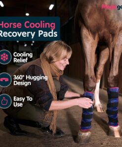 Magic Gel Horse Ice Pack with Carry Case - Twin Ice Boots | Cooling Horse Leg Wraps for Hock, Ankle, Knee, Legs, Boots, and Hooves | Horse Tack, Horse Supplies & Horse Gift...