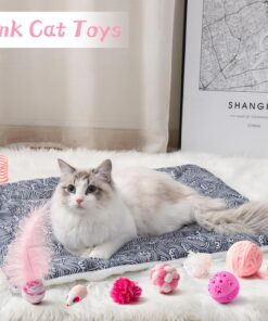 MALLMALL6 10Pcs Cat Toy Set Interactive Cat Toys Pack Including Feather Teaser Wand Cat Springs Mice Crinkle Balls and Pet Bell Balls, Puzzle Toys for Indoor Cats Gift (Pink)