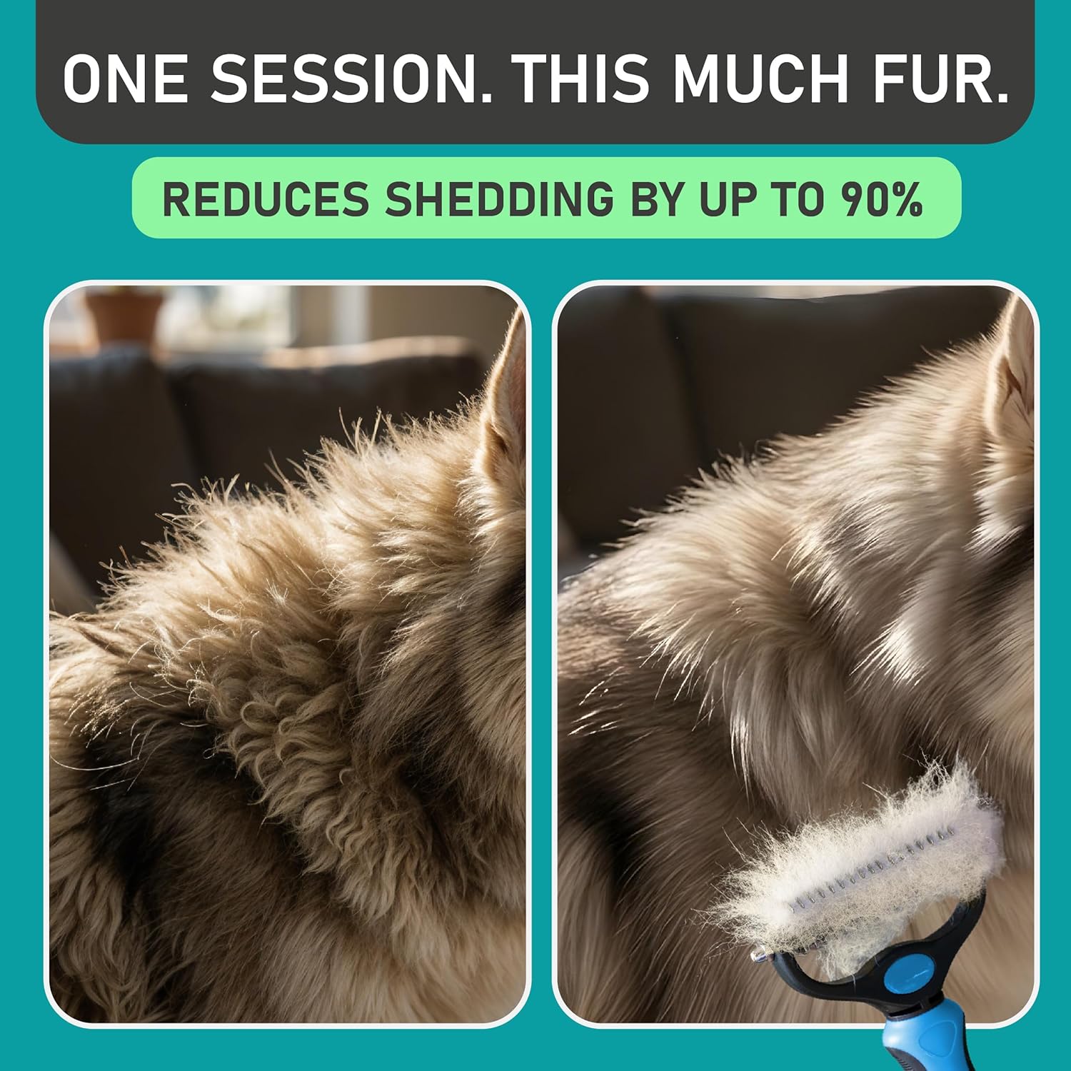 Maxpower Planet Original Pet Grooming Rake - Double-Sided Deshedding Dematting Tool, Undercoat Rake for Dogs & Cats, Extra-Wide Dog Grooming Brush & Deshedder Comb for Long...