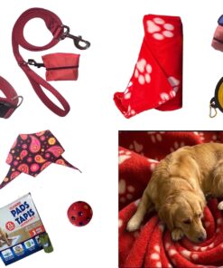 MED-LG Dog Essential Starter Set| Collar, Leash, Blanket, Ball, 2 Bowls, Training Pads, Poop Bags, Bandana Perfect for New Pet Parents, Birthday, Adoption,Travel, Training