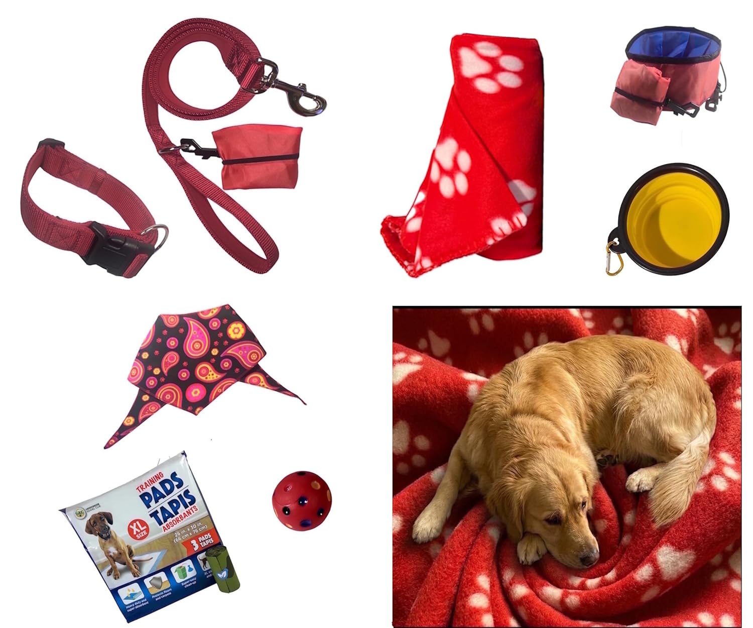 MED-LG Dog Essential Starter Set| Collar, Leash, Blanket, Ball, 2 Bowls, Training Pads, Poop Bags, Bandana Perfect for New Pet Parents, Birthday, Adoption,Travel, Training