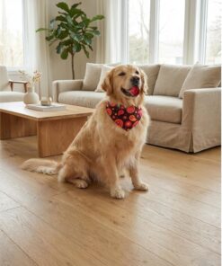 MED-LG Dog Essential Starter Set| Collar, Leash, Blanket, Ball, 2 Bowls, Training Pads, Poop Bags, Bandana Perfect for New Pet Parents, Birthday, Adoption,Travel, Training