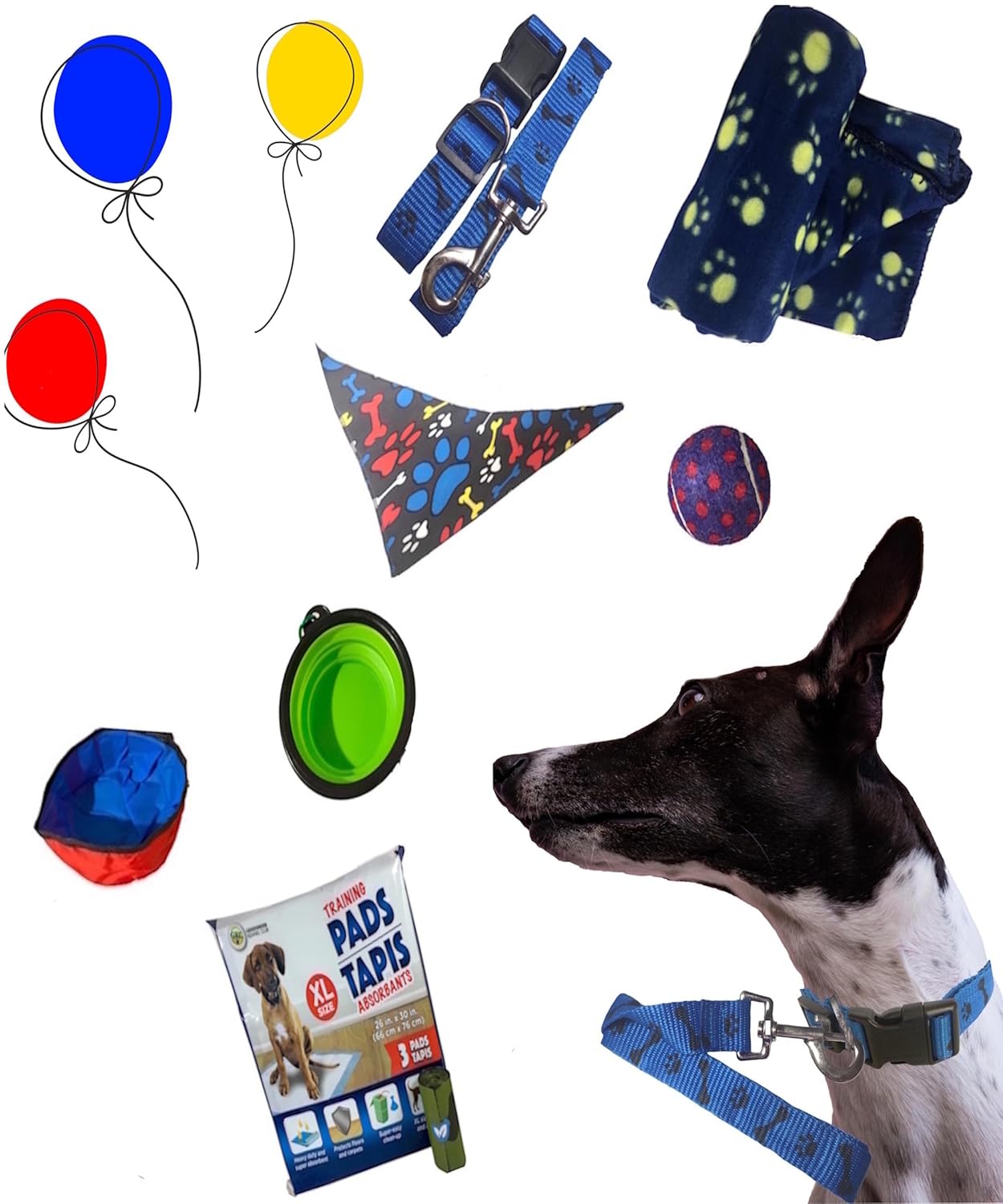 MED-LG Dog Essential Starter Set| Collar, Leash, Blanket, Ball, 2 Bowls, Training Pads, Poop Bags, Bandana Perfect for New Dog Owners, Adoption, Travel, Training