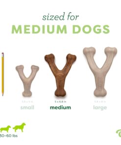 Medium 3-Pack, Benebone Wishbone Durable Dog Chew Toy for Aggressive Chewers, Real Bacon, Chicken, Peanut Butter, Made in USA, Variety Pack