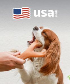Medium 3-Pack, Benebone Wishbone Durable Dog Chew Toy for Aggressive Chewers, Real Bacon, Chicken, Peanut Butter, Made in USA, Variety Pack