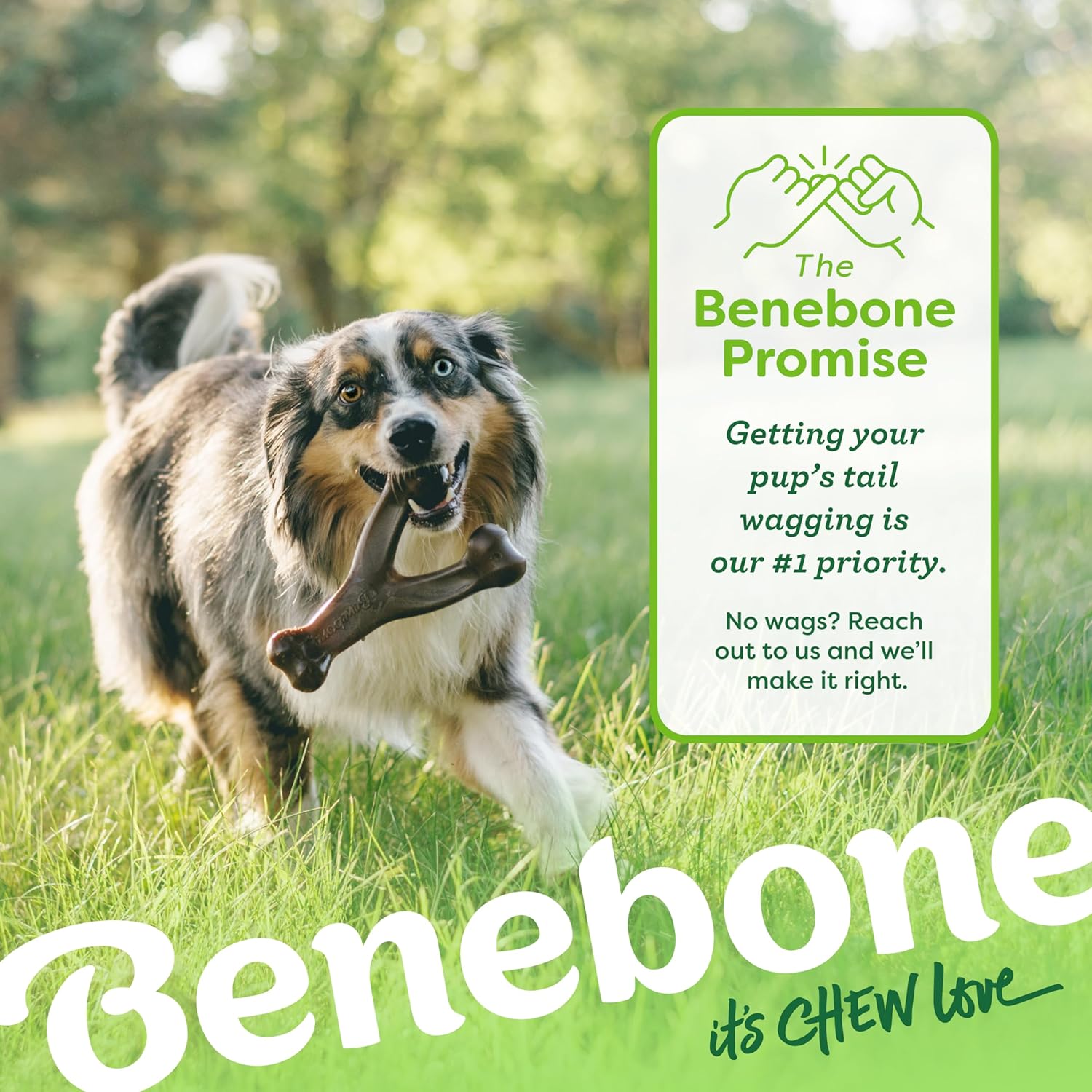Medium 3-Pack, Benebone Wishbone Durable Dog Chew Toy for Aggressive Chewers, Real Bacon, Chicken, Peanut Butter, Made in USA, Variety Pack
