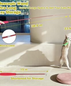 MeoHui Cat Toys for Indoor Cats, Interactive Cat Toy 2PCS Retractable Wand Toy and 9PCS Cat Feather Toys Refills, Funny Kitten Toys Cat Fishing Pole Toy for Bored Indoor Cats...
