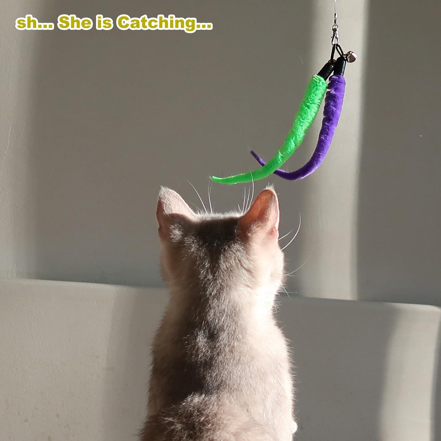 MeoHui Cat Toys for Indoor Cats, Interactive Cat Toy 2PCS Retractable Wand Toy and 9PCS Cat Feather Toys Refills, Funny Kitten Toys Cat Fishing Pole Toy for Bored Indoor Cats...