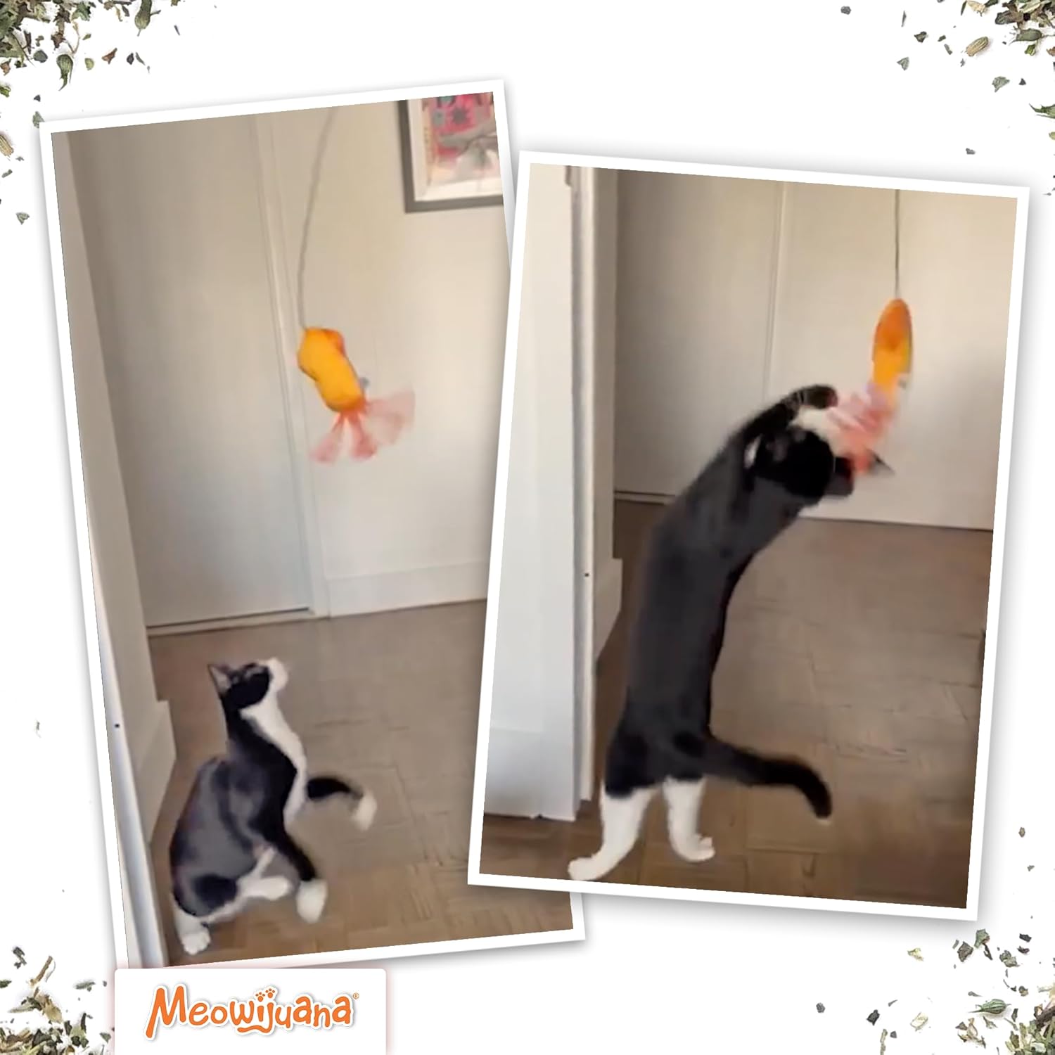 Meowijuana Jump 'n' Jamb Door Hanging Cat Toy | Deep Sea Squid | Refillable Interactive Catnip Toy | Promotes Play and Cat Health | Includes Potent Catnip Grown in North America