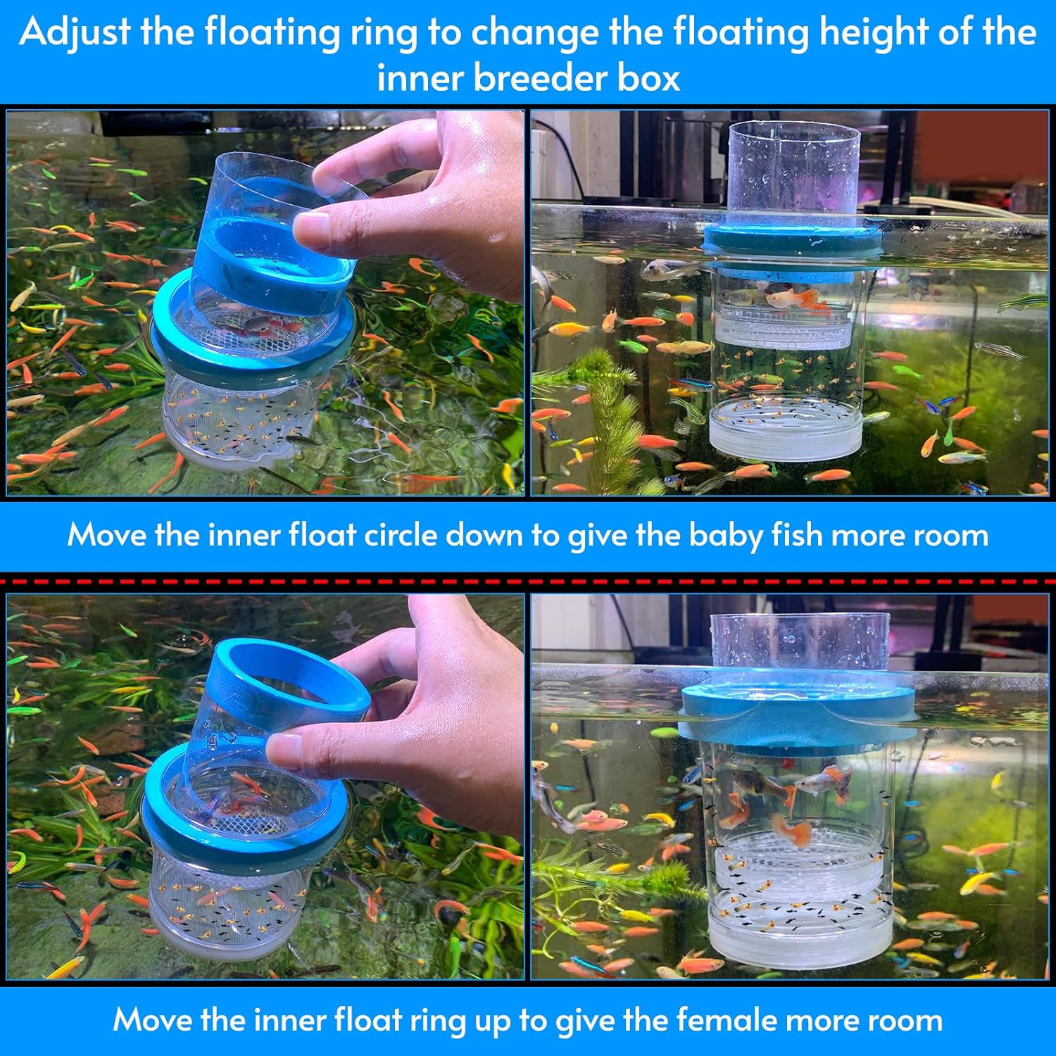 middlefloatingbreederbox Breeder Box for Fish Tank Isolation Aquarium Separator Hatchery Incubator for Guppy Baby Betta Saltwater Clownfish Coral Aggressive or Injured Fish...