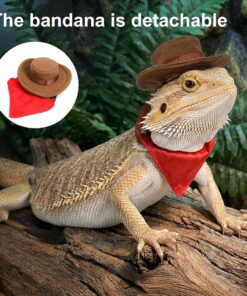 Molain Bearded Dragon Clothes, Lizard Cowboy Hat Bandana Costume Set Bearded Dragon Clothing Outfit for Cosplay Photo Costume Props Fits Gecko Chameleon Ferret