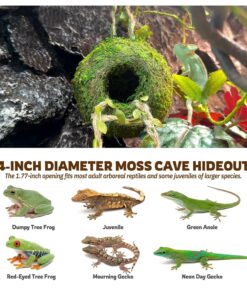 Moss Cave Hideout with Hanging Rope & Hemp Climbing Ladder – Natural Reptile Tank Decor Accessories for Crested Geckos, Chameleons, Tree Frogs, Leopard Geckos & Snakes....