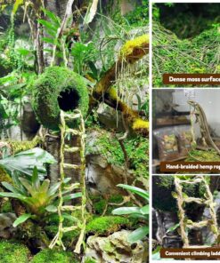 Moss Cave Hideout with Hanging Rope & Hemp Climbing Ladder – Natural Reptile Tank Decor Accessories for Crested Geckos, Chameleons, Tree Frogs, Leopard Geckos & Snakes....