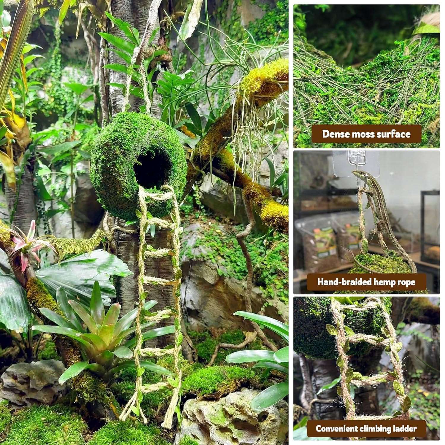 Moss Cave Hideout with Hanging Rope & Hemp Climbing Ladder – Natural Reptile Tank Decor Accessories for Crested Geckos, Chameleons, Tree Frogs, Leopard Geckos & Snakes....