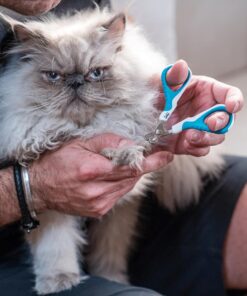 Mr. Pen- Cat Nail Clipper, Blue, Stainless Steel, Cat Claw Trimmers Kittens, Pet Nail Clipper with Sturdy Non Slip Handle