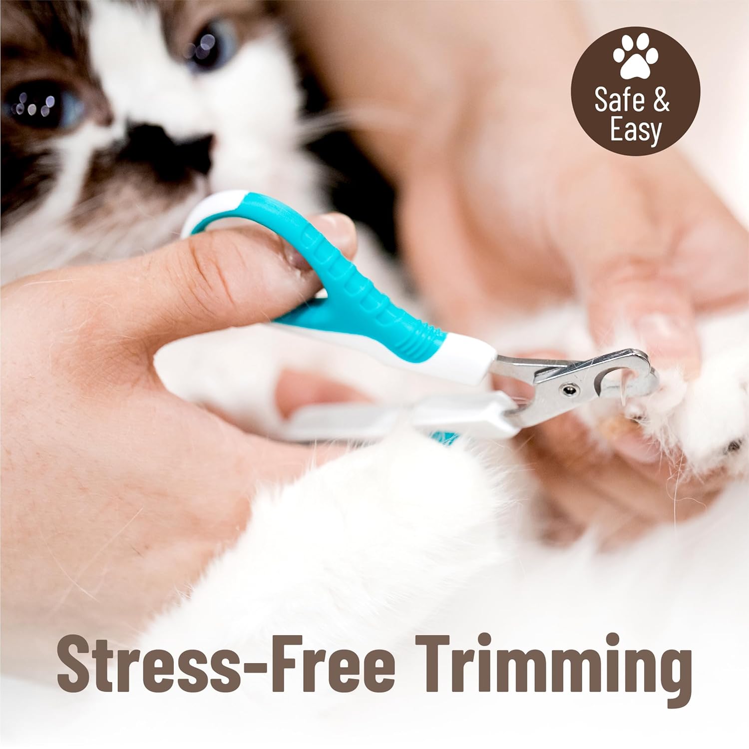 Mr. Pen- Cat Nail Clipper, Blue, Stainless Steel, Cat Claw Trimmers Kittens, Pet Nail Clipper with Sturdy Non Slip Handle