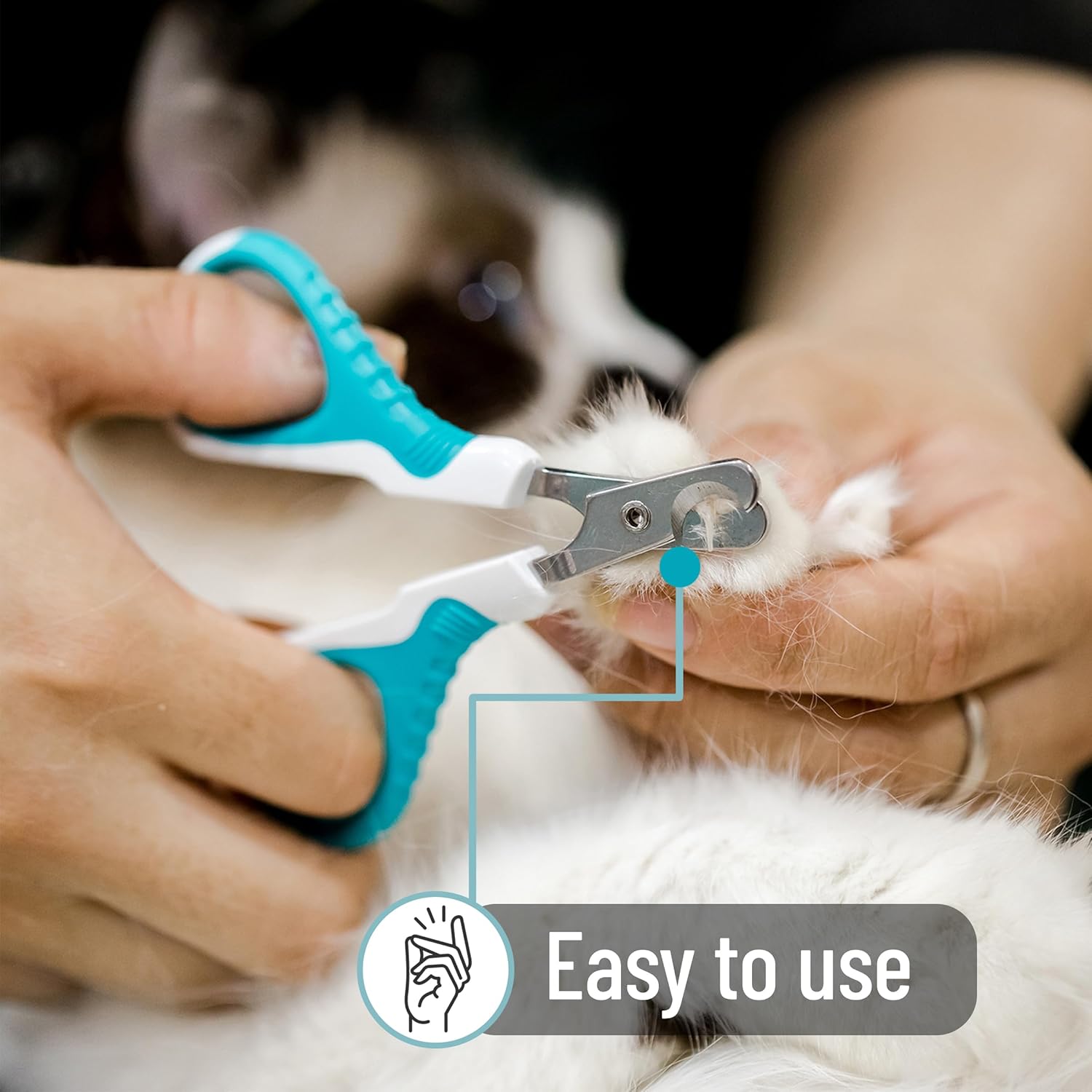 Mr. Pen- Cat Nail Clipper, Blue, Stainless Steel, Cat Claw Trimmers Kittens, Pet Nail Clipper with Sturdy Non Slip Handle