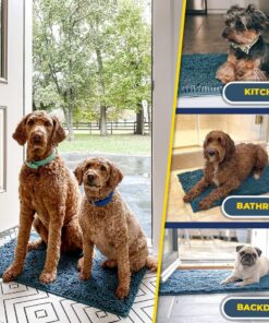 Muddy Mat® | Super Absorbent Door Mat Indoor, Microfiber Quick Dry Chenille Entryway Rug, Non-Slip Front Door Mat, Indoor Mats for Entryway, Machine Washable Pet Rug, Atlantic...