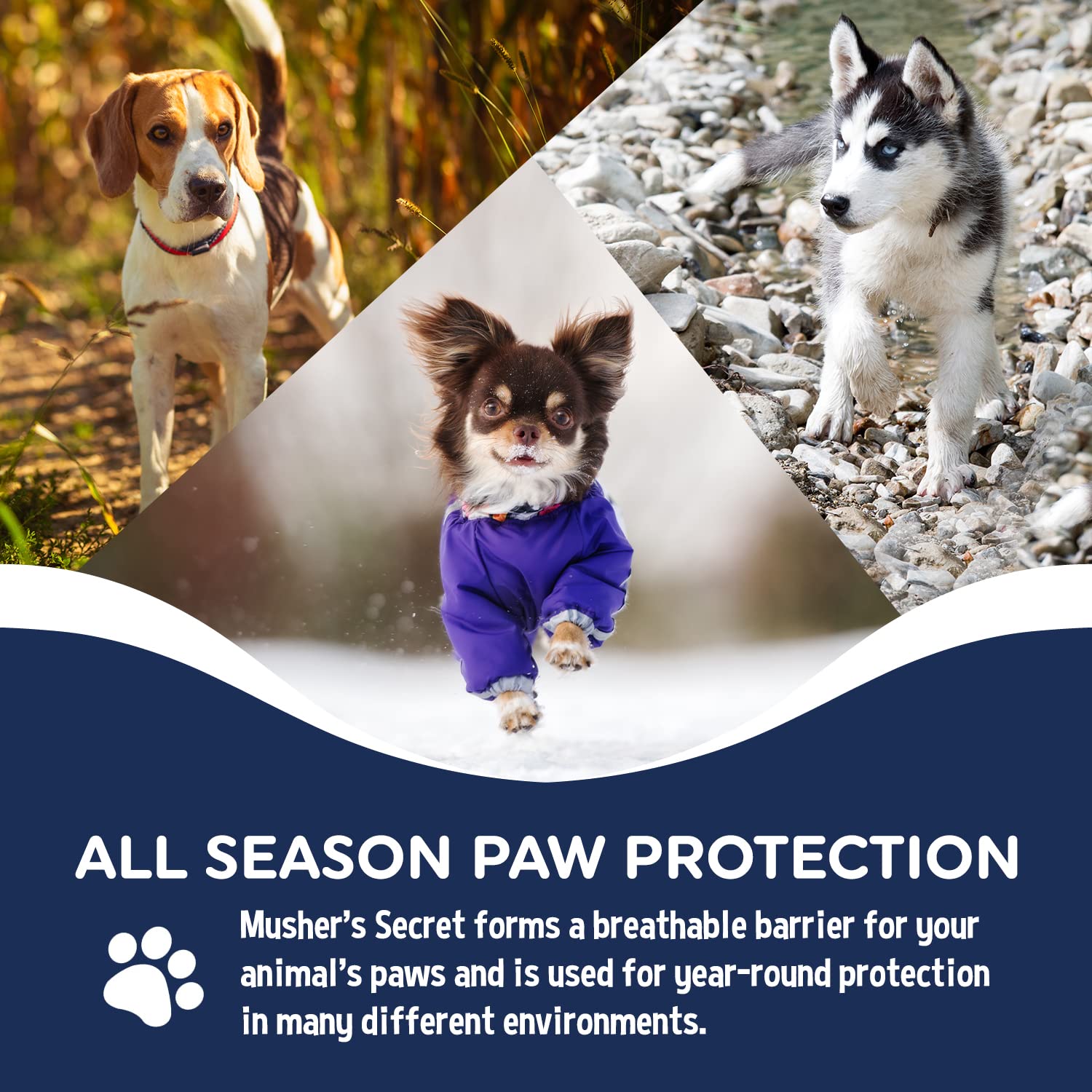Musher’s Secret Dog Paw Wax 200g – Natural Paw Balm for Dogs with Vitamin E – Helps Protect Paws from Hot Pavement, Ice & Salt – Moisturizes Cracked Pads – Lick-Safe, Non-Toxic...