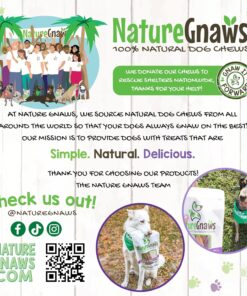Nature Gnaws Braided Pork Bully Sticks for Dogs 5-6