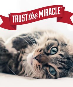 Nature's Miracle Advanced Platinum Cat Pet Block Repellent Spray, 8 Ounces, Indoor Training Aid for Cats